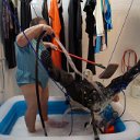 latexwerkstatt3,7,201527